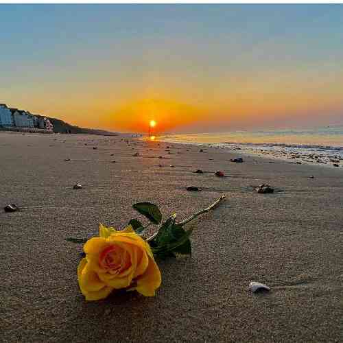 ابی محمدی دختر مغرور